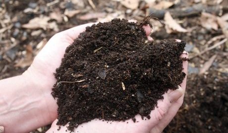 Compost